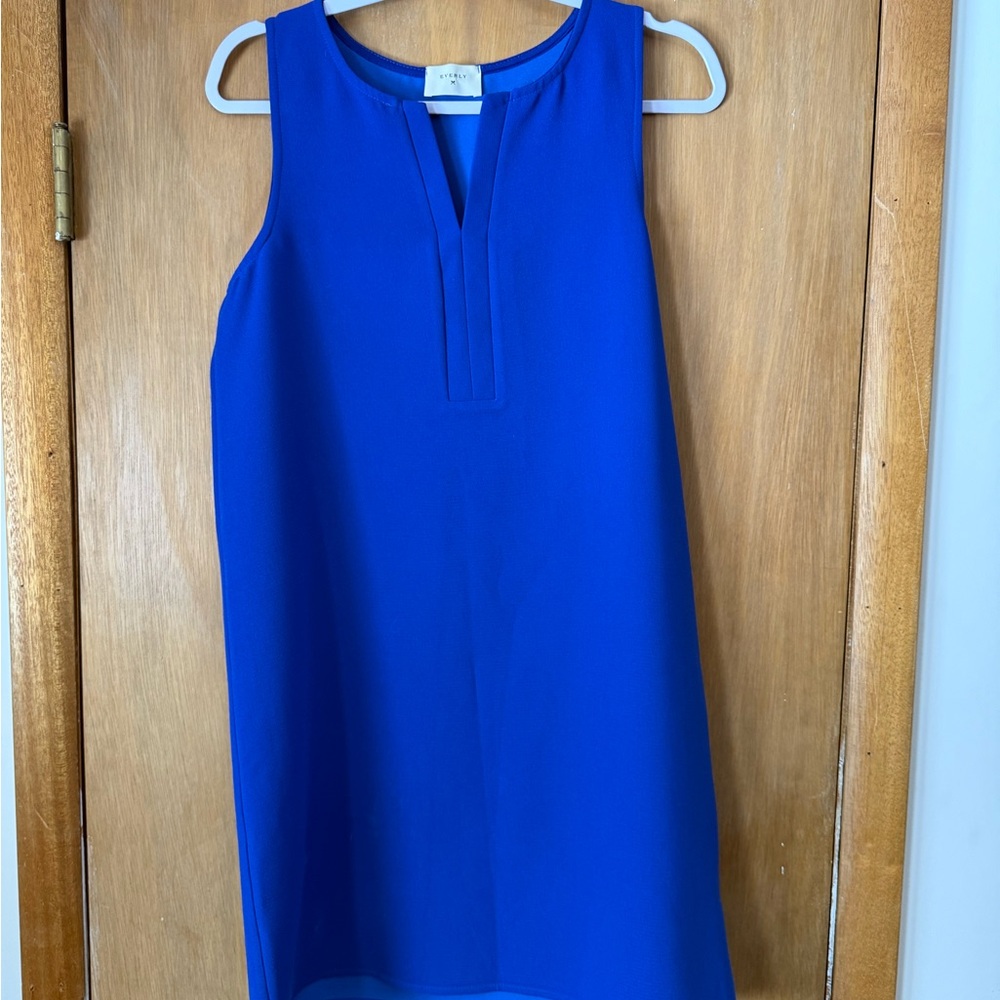 Royal Blue Dress